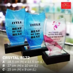 Crystal Plaque Budget 8172