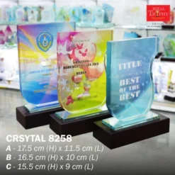 Crystal Plaque Budget 8258