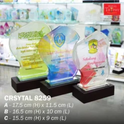 Crystal Plaque Budget 8259