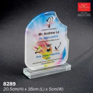 CRYSTAL PLAQUE MEDIUM 8289