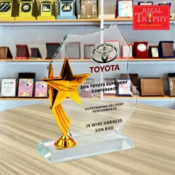 Crystal Star Plaque Exclusive 3028