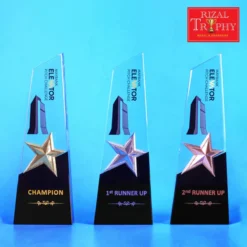 Crystal Star Plaque Exclusive CS943