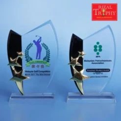 Crystal Star Plaque Exclusive CS944