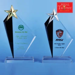 Crystal Star Plaque Exclusive CS945