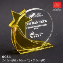 Crystal Star Plaque Medium 9054