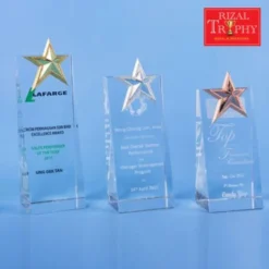 Crystal Star Plaque Medium CS947