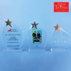 Crystal Star Plaque Medium CS951