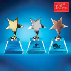 Crystal Star Trophy Medium CS923