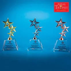 Crystal Star Trophy Medium CS936