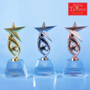 Crystal Star Trophy Medium CS948