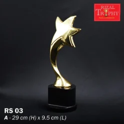 Crystal Star Trophy Medium RS03