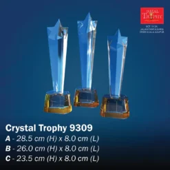 CRYSTAL TROPHY EXCLUSIVE 9309