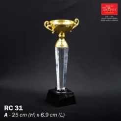 Crystal Trophy Medium RC31