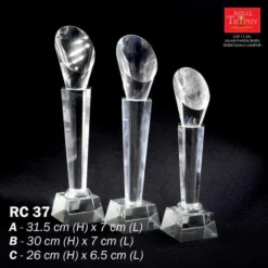 Crystal Trophy Medium RC37