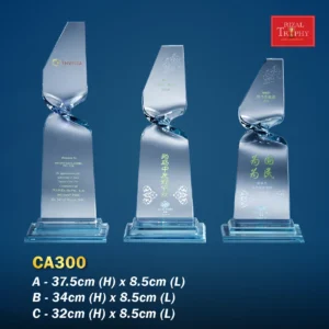 Crystal Plaque CA300