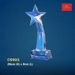 Crystal Trophy CS905