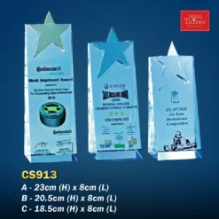 Crystal Trophy CS913