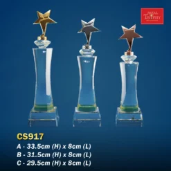 Crystal Trophy CS917