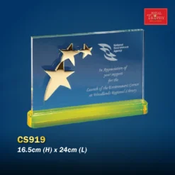 Crystal Plaque CS919