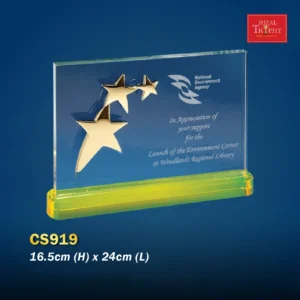 Crystal Plaque CS919