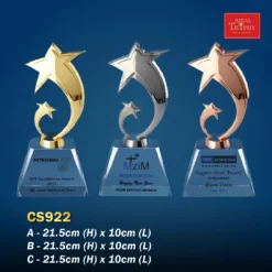 Crystal Trophy CS922