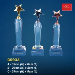 Crystal Trophy CS933