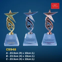 Crystal Trophy CS948