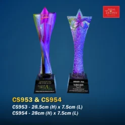 Crystal Trophy CS953 & CS954