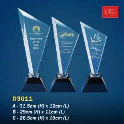 Crystal Trophy D3011
