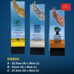 Crystal Trophy D5200