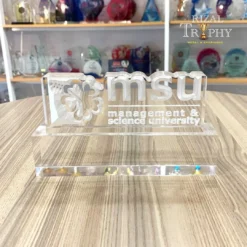 Management & Science University