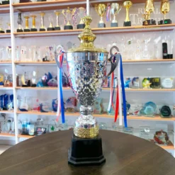 Trophy Pusingan 2403